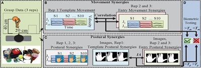 Hand Grasping Synergies As Biometrics